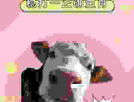 头头是道是什么生肖?生肖专家为你揭秘!