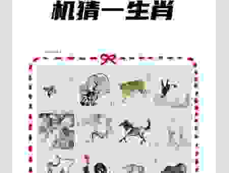 头头是道是什么生肖？生肖专家为你揭秘！