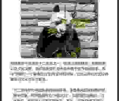 万众一心是什么生肖？答案竟然是这个生肖！
