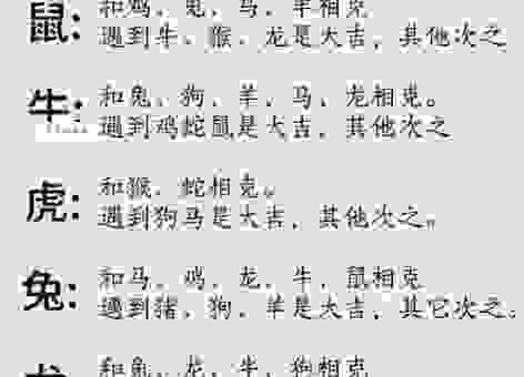 野性难驯是什么生肖？揭秘那些难以驯服的属相！
