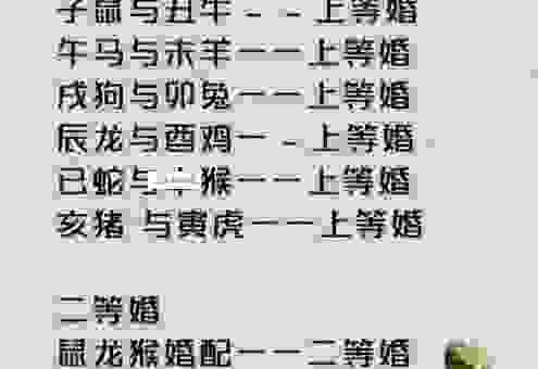 崇洋媚外是什么生肖?读懂这几个生肖行为很重要