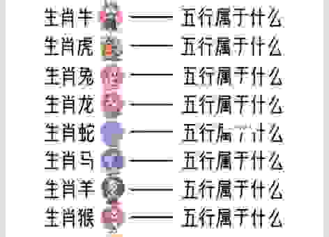 皮里阳秋对应什么生肖？简单方法教你快速判断！