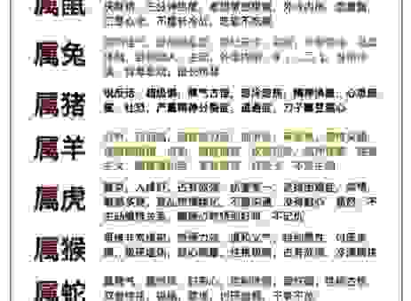 突飞猛进是什么生肖？生肖知识大揭秘！