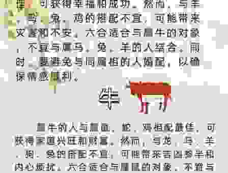 大路朝天是什么生肖？专家解读背后的秘密！