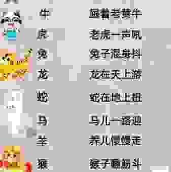 子午线上办得明指向哪个生肖？这些动物最有可能是答案！