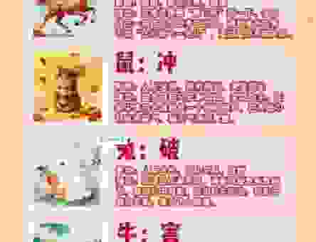 子午线上办得明指向哪个生肖?这些动物最有可能是答案!