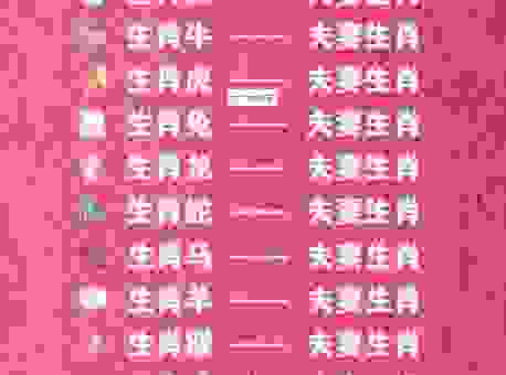 好事成双是什么生肖？快来对号入座看看吧！