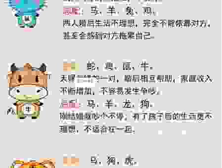 守庭护院是哪几个生肖?揭秘它们的小心思!