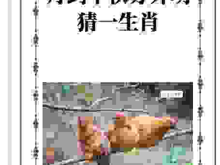 月涌山湖三更雨是什么生肖？答案揭晓，原来是它！