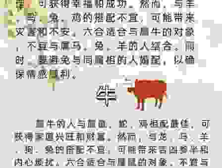 赤子望月是什么生肖？关于生肖的答案可能与你想象的不同！