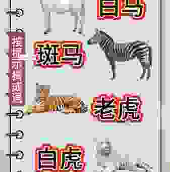 你知道骑虎难下打一动物生肖是什么吗？答案就在这里！