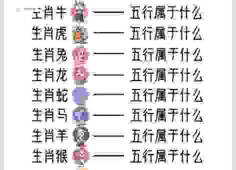 飞天遁地是指哪个生肖?这几个生肖最符合!
