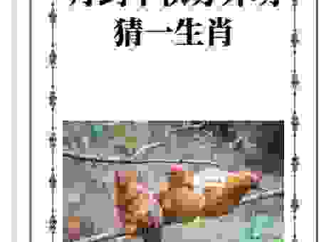 一叶知秋猜生肖？秋天里最聪明的生肖就是它！