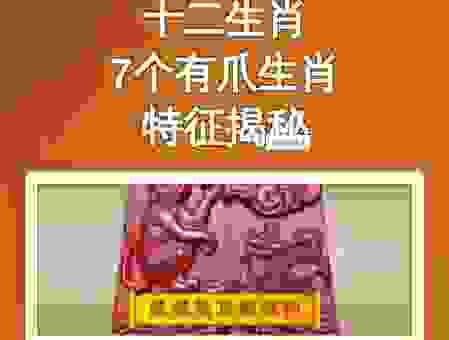 南征北战和哪个生肖有关?了解这些生肖特征!