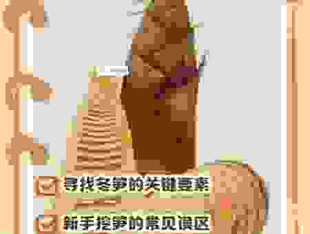 雨后春笋猜一生肖，掌握这个小技巧你也能轻松答！