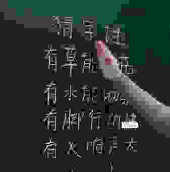 雨后春笋猜一生肖,掌握这个小技巧你也能轻松答!