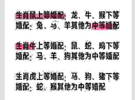 势不两立是指什么生肖?这些生肖关系确实很难化解!