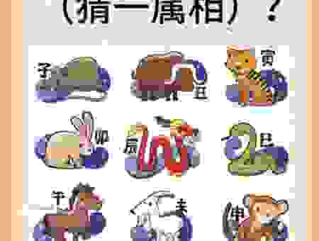 十指连心指的是哪个生肖？答案就在这里告诉你！