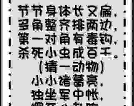 天花乱坠打一个生肖，让大家猜不透的答案！