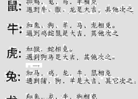 天方夜谭是什么生肖？这个冷门生肖很少有人知道！