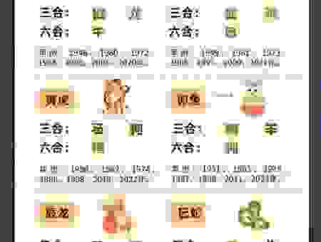 妙手回春指什么生肖？这几个生肖最有福气
