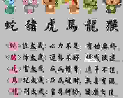 妙手回春指什么生肖?这几个生肖最有福气
