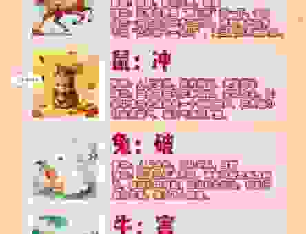实实在在是什么生肖？这些生肖最靠谱！