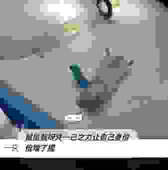 锦上添花是指什么生肖？老一辈人的答案出乎意料