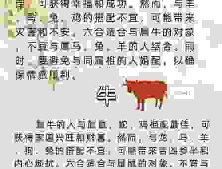 关于两小无猜打一正确生肖的解释,读完你就明白了。