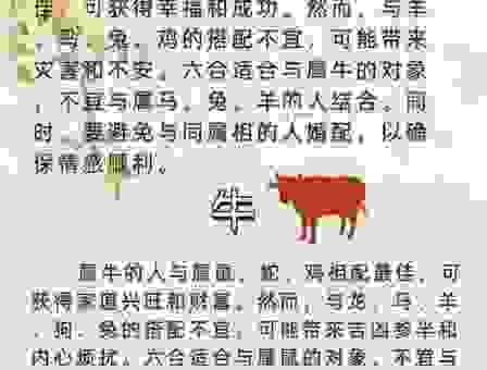 逍遥法外打一生肖答案解析,原来是这个生肖!