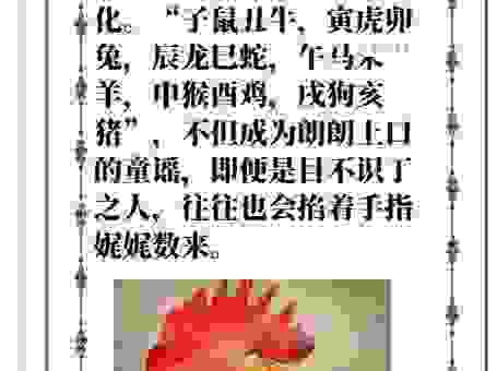 逍遥法外打一生肖答案解析，原来是这个生肖！
