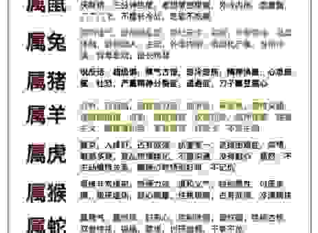 五百年前一家人指的是生肖吗？探究生肖之间的奇妙联系！