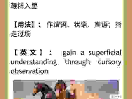 走马观花是什么生肖？这个答案让你大吃一惊！