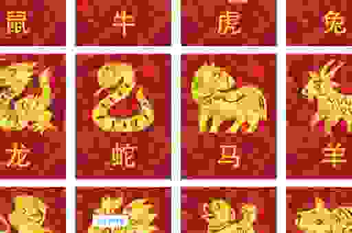 上天入水是什么生肖？这几个生肖最符合！