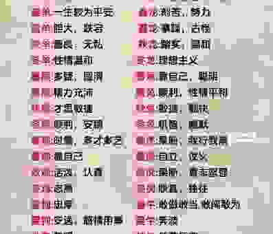 两袖清风打一生肖解析：这些生肖的品格很高尚