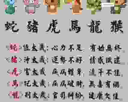 野草丛生代表什么生肖？看完你就全明白了。