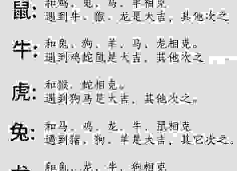 油头粉面说的是哪个生肖?这几个特征告诉你答案!