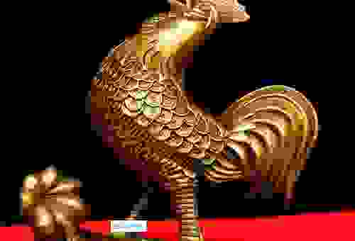 金鸡独立是什么生肖？这几个特征太明显了！