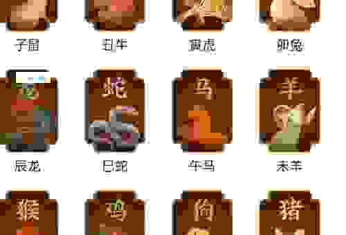 硕大无比是什么生肖?这几种动物都很形象!