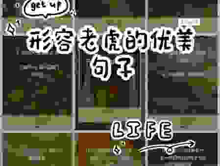 虎虎生威是什么意思？简单易懂的解释和例子