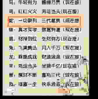 想知道登峰造极是代表什么生肖吗？答案在这里！