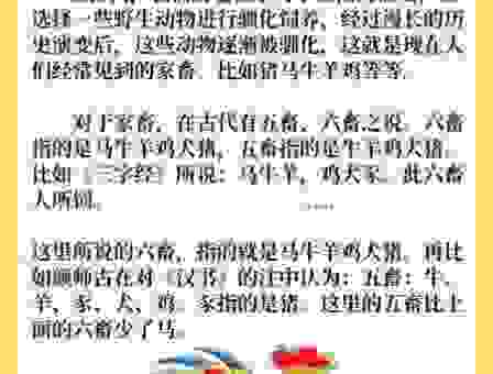 鸡犬相闻猜生肖，传统文化里的答案揭晓！