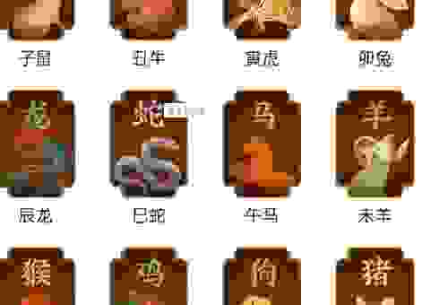关于翩翩起舞指是什么生肖，你想知道的都在这里！
