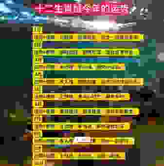 属鼠爱虚掷光阴吗?揭秘十二生肖哪个最爱浪费时间!