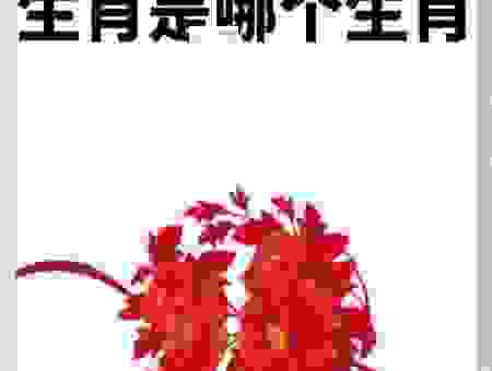 艰苦卓绝到底是指什么生肖？看完你就明白了