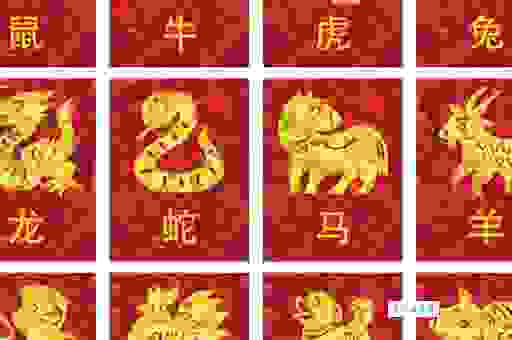 鼠目寸光是什么生肖?这些生肖的特点让你大吃一惊