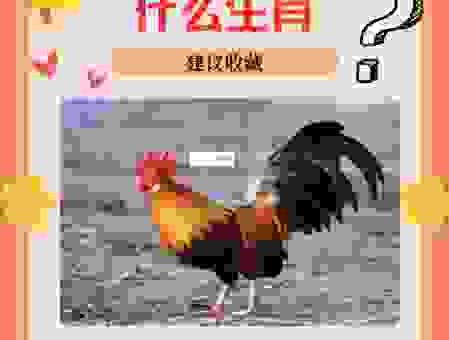 铜筋铁骨对应的生肖是谁？这些生肖生命力顽强！