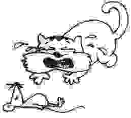 想知道猫哭耗子假慈悲是哪个生肖吗？答案就在这里！