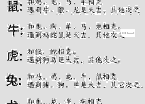八斗之才是代表什么生肖?用通俗易懂的方式告诉你。