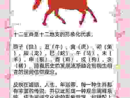 百二关河代表的生肖是什么？看完你就明白了！